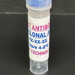 Monoclonal antibodies