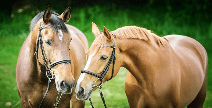 natural formula image